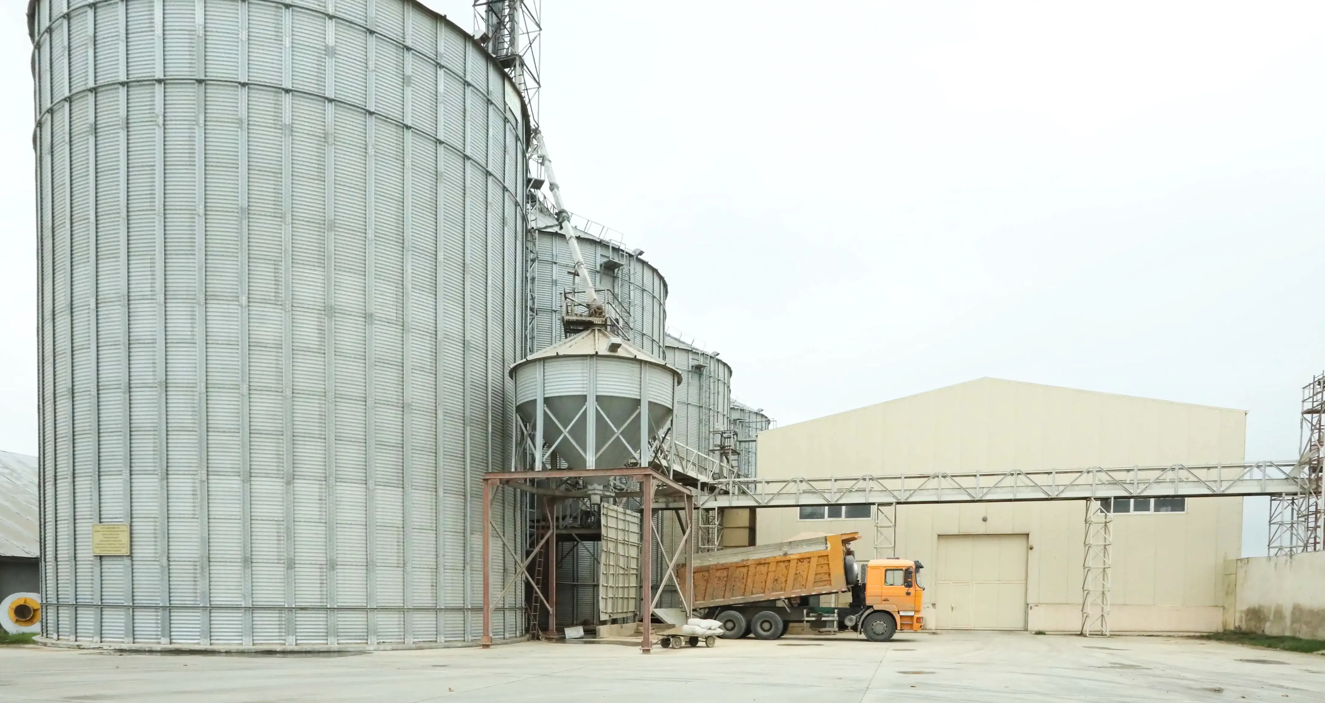 Toxum Tinqçilik Şirkəti