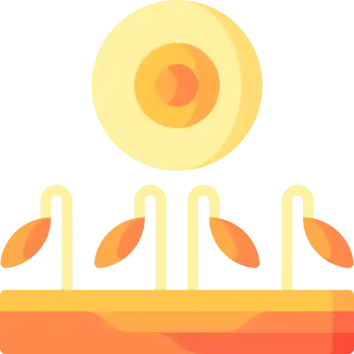 Desertification foto