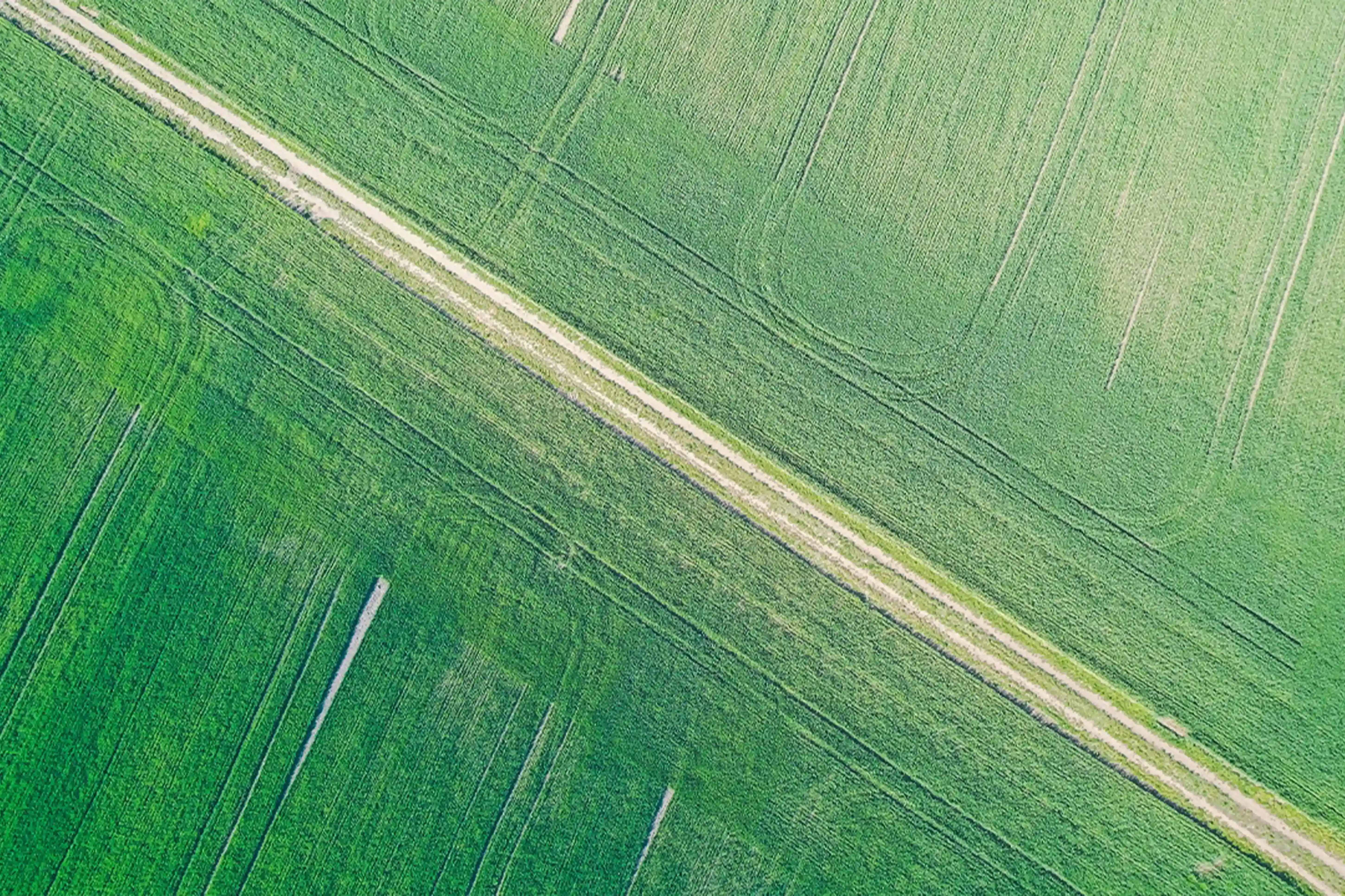 İş imkanları foto
