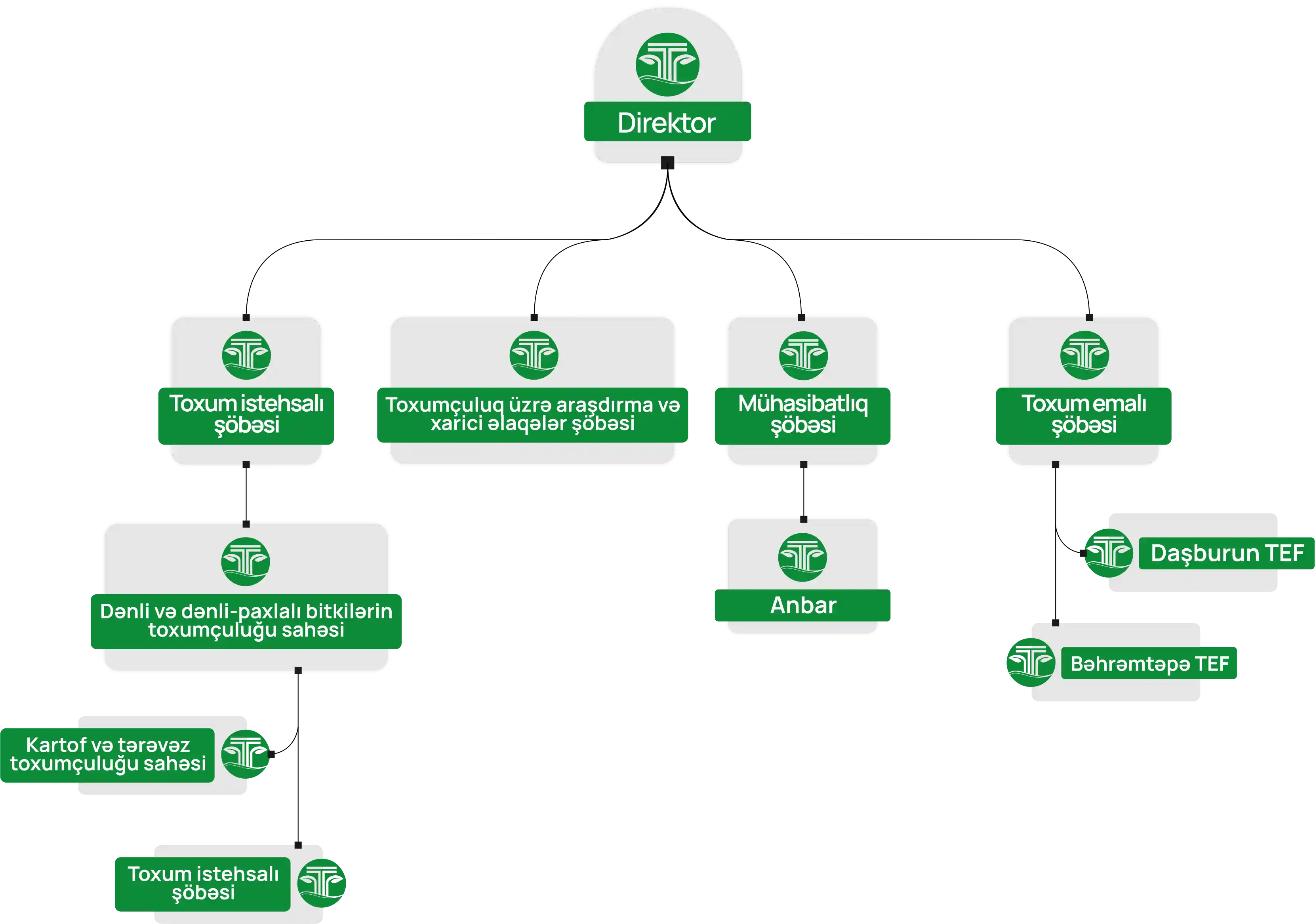 Strukturumuz Pentagram
